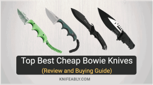 Best Budget Bowie Knife in 2023 (Top Affordable Knives)