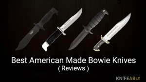 Best American Made Bowie Knives in 2023 (Reviews)