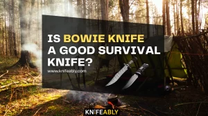 Is Bowie knife a Good Survival Knife?